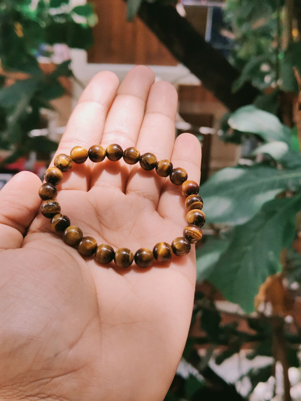 Tiger Eye Protection Bracelet